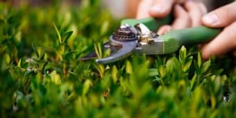 Aménager ses extérieurs dans le Maine-et-Loire : pourquoi faire appel à un paysagiste ?